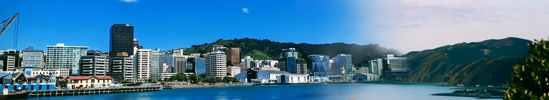 Wellington Harbour & Skyline